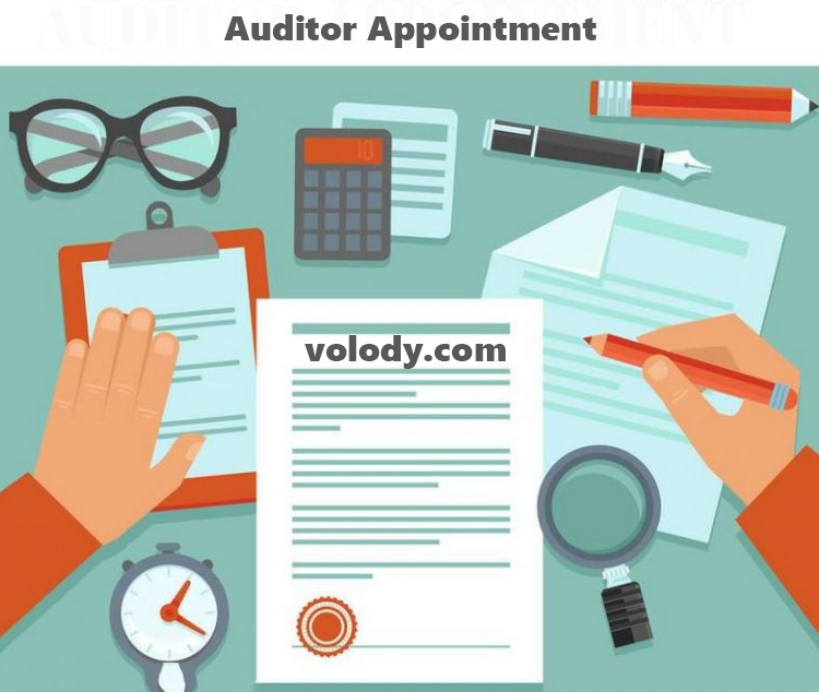Auditor Appointment And Compliance